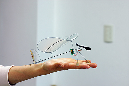 micro butterfly rc plane